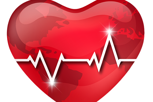 Campanhas De Solidariedade 2016 2107