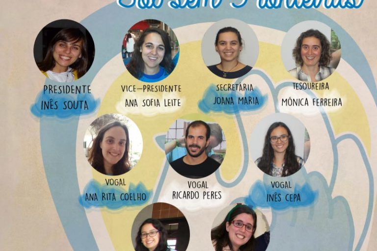 2017 Solsef Nova Direcao Social