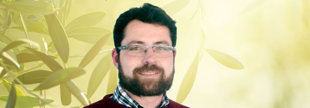 Andre Azevedo Justica E Paz