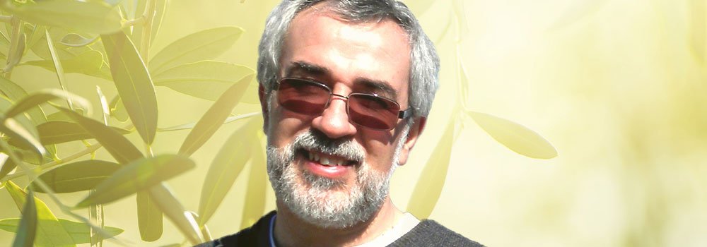 Joao David Justica E Paz