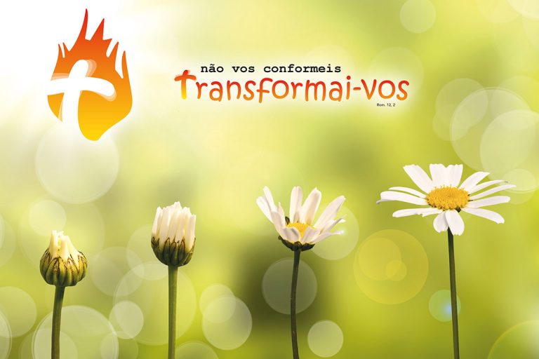 Peregrinacao Da Familia Espiritana A Fatima 2018