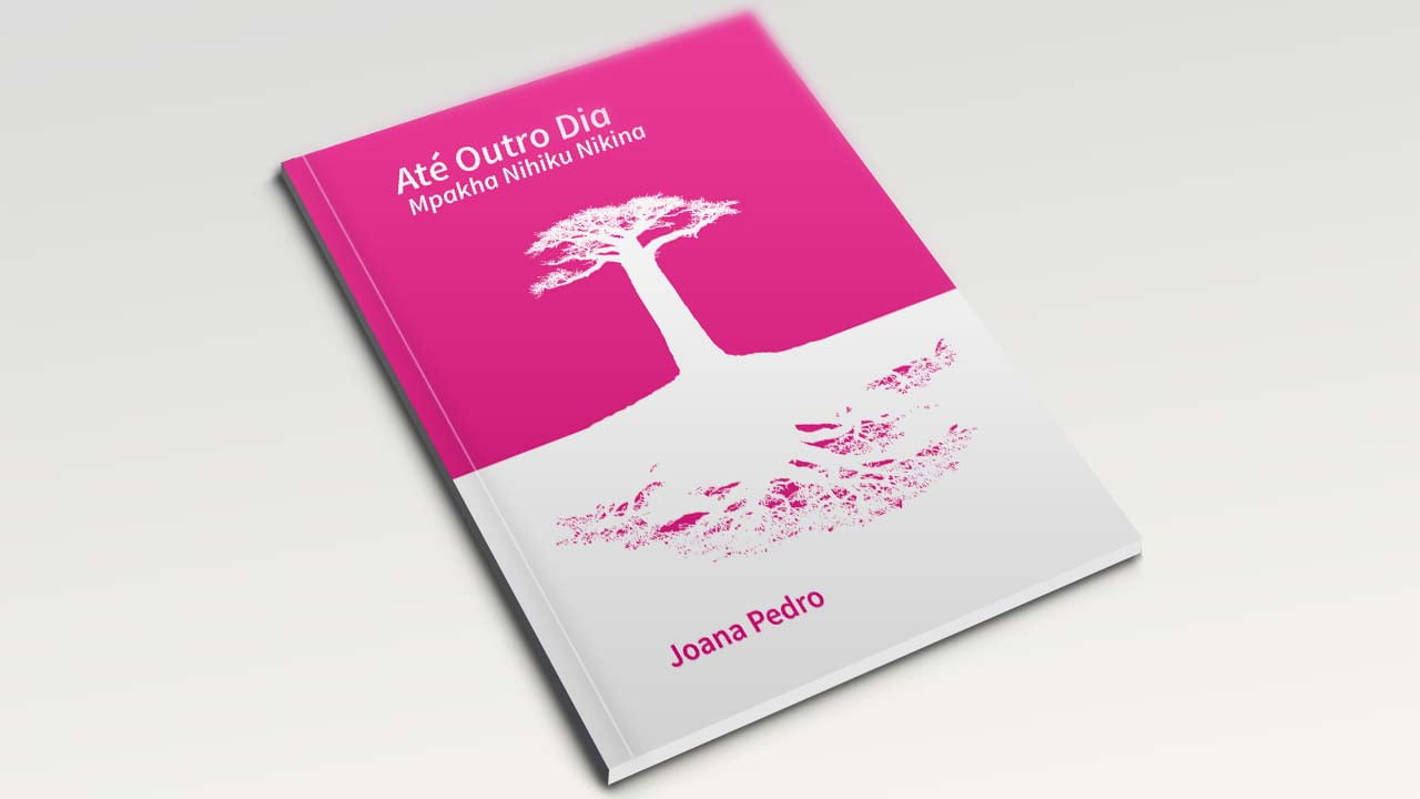 Livro Novo Joana Pedro Ate Um Dia