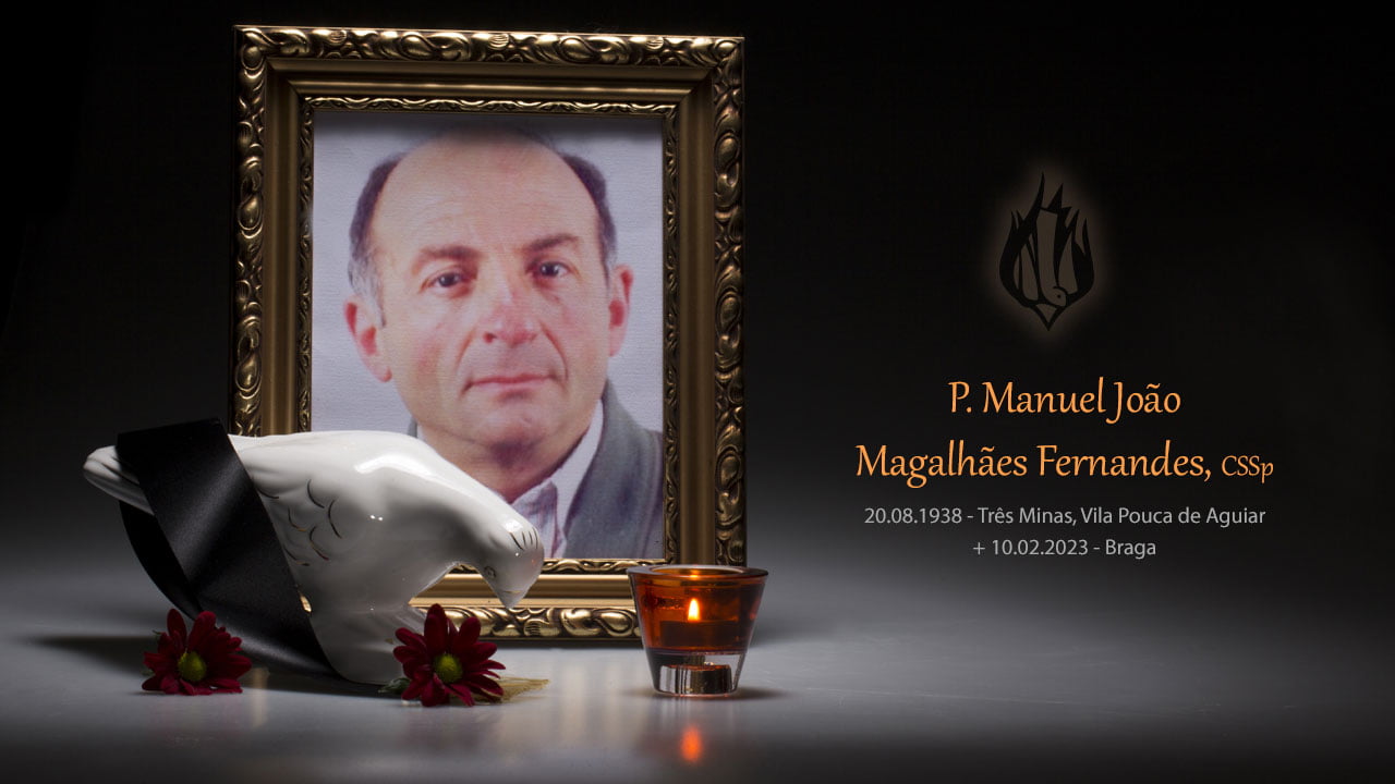 P Manuel Joao Magalhaes Fernandes