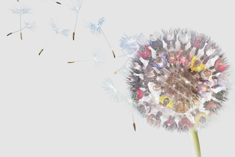 Encontro Fraternidade Humana Fundacao Fratelli Tutti