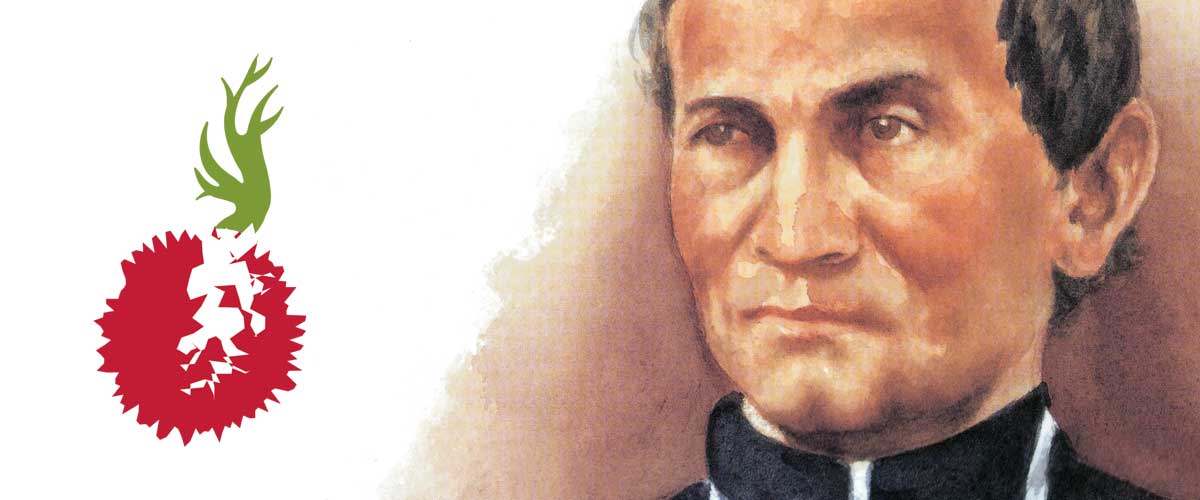 Libermann Plano De Animacao