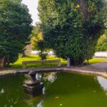 12 Filho De Peixe Sabe Nadar